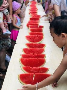 吃瓜的娱乐小能手,吃瓜达人揭秘娱乐圈幕后故事